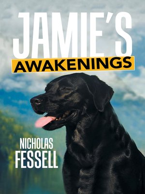 cover image of Jamie'S Awakenings